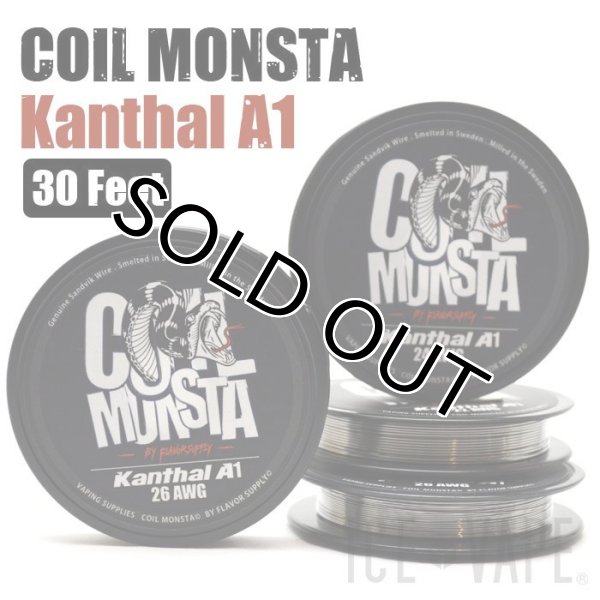 画像1: 【メール便送料無料！】【RBA DIY】 COIL MONSTA / Kanthal A1 (1)