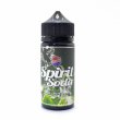 画像1: 【E-リキッド】Soft Drink - Spirit Soda 100ml ( スピリット ソーダ ) (1)