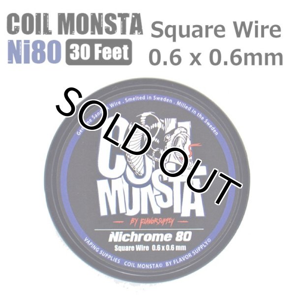 画像1: 【メール便送料無料！】 COIL MONSTA / Square Wire 0.6 x 0.6mm (1)